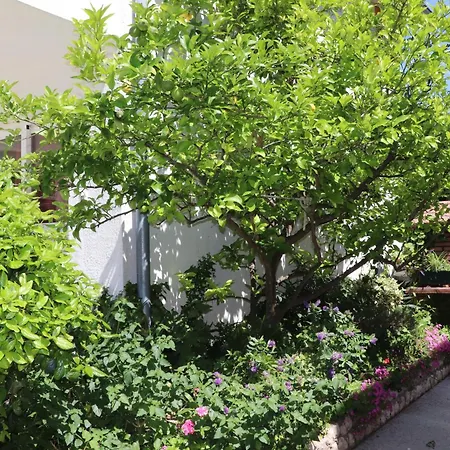 Apartment A 1 apt w terrace garden&sea view